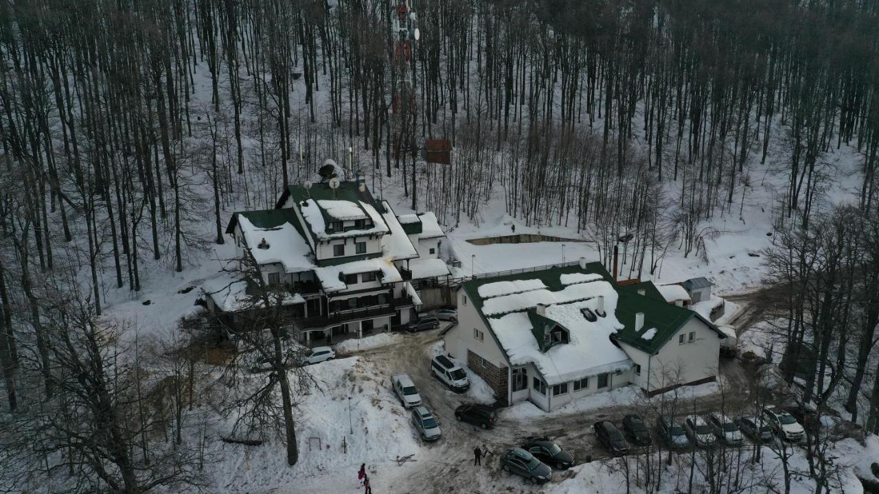 Guesthouse Babin Zub Crni Vrh Exteriér fotografie