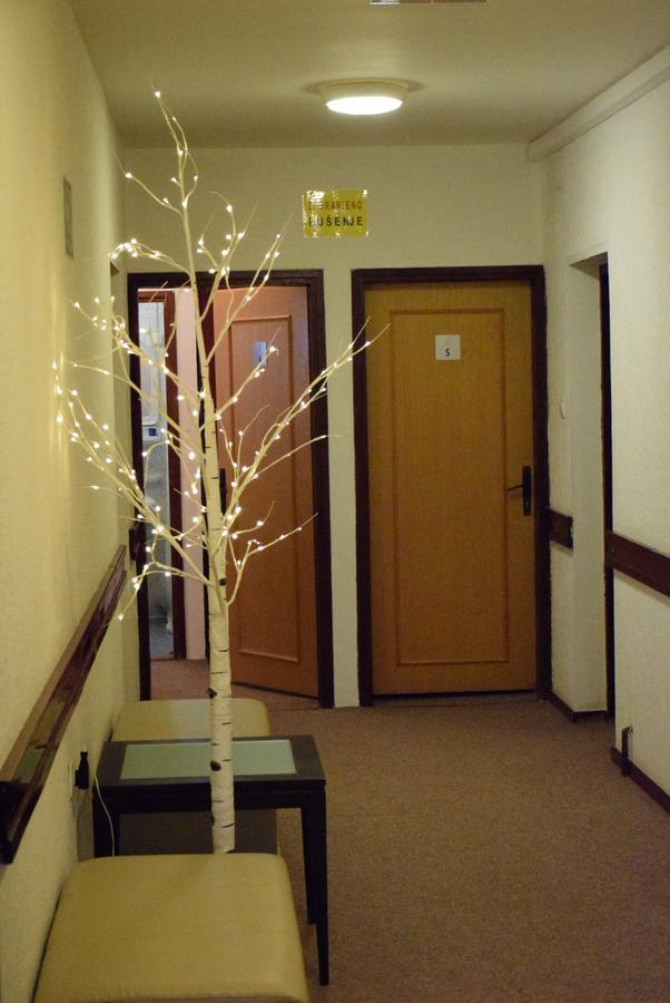 Guesthouse Babin Zub Crni Vrh Exteriér fotografie